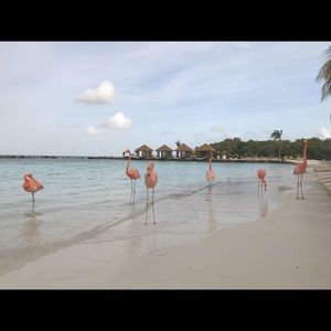 Meet your Posher, Cintia